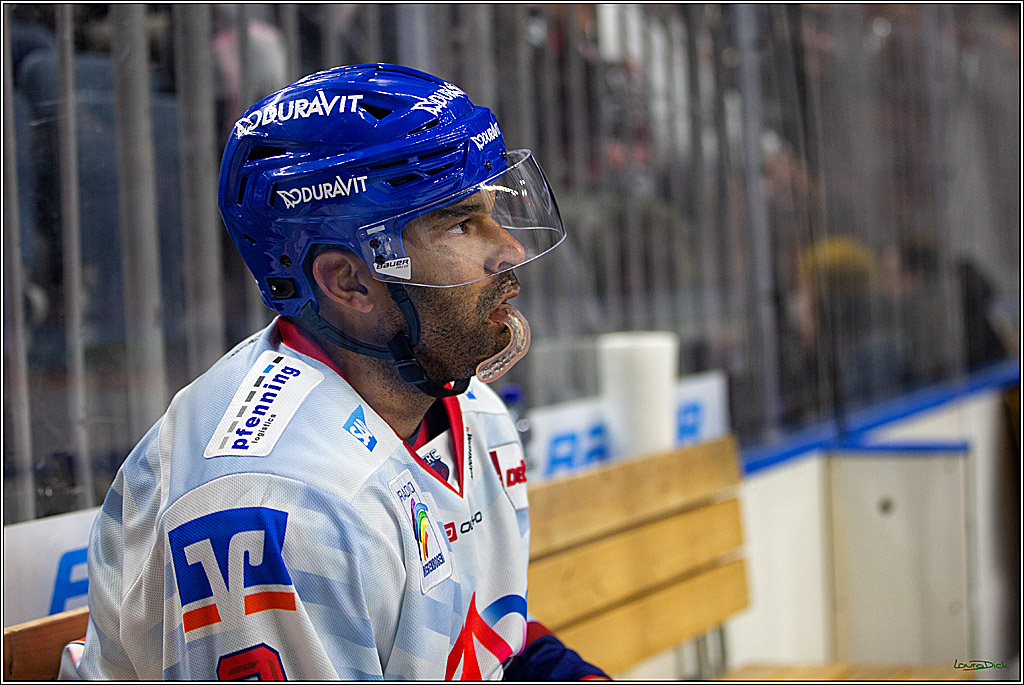 PENNY DEL; Koelner Haie- Adler Mannheim; Koeln, 04.11.2022